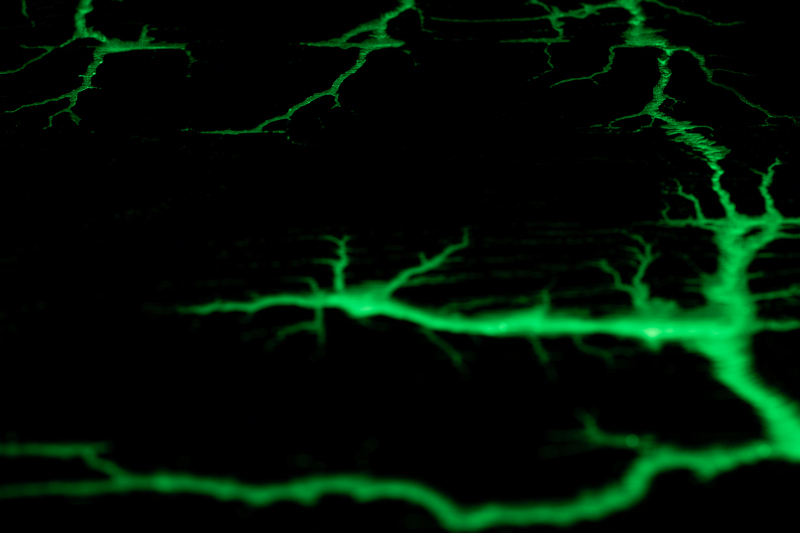 planche à découper série canopée4